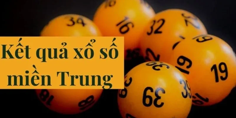 Đá Gà Trực Tiếp: Khám Phá Thế Giới Đá Gà C4 và Thomo